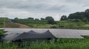 전북 임실현장(PV100kw / ESS279kw)