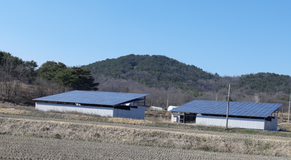 충남 논산현장(PV100kw / Battery 238kw)