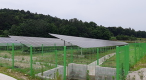 충남 논산현장(PV100kw/Battery 336kw)